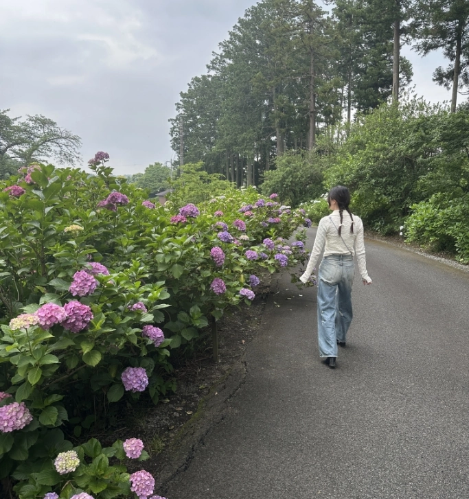 杉木立と紫陽花に囲まれた坂道を歩く来訪者