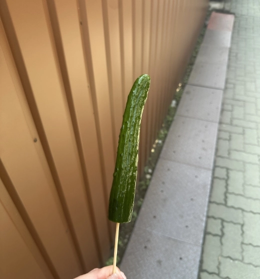 長瀞名物・きゅうりの一本漬けを手に