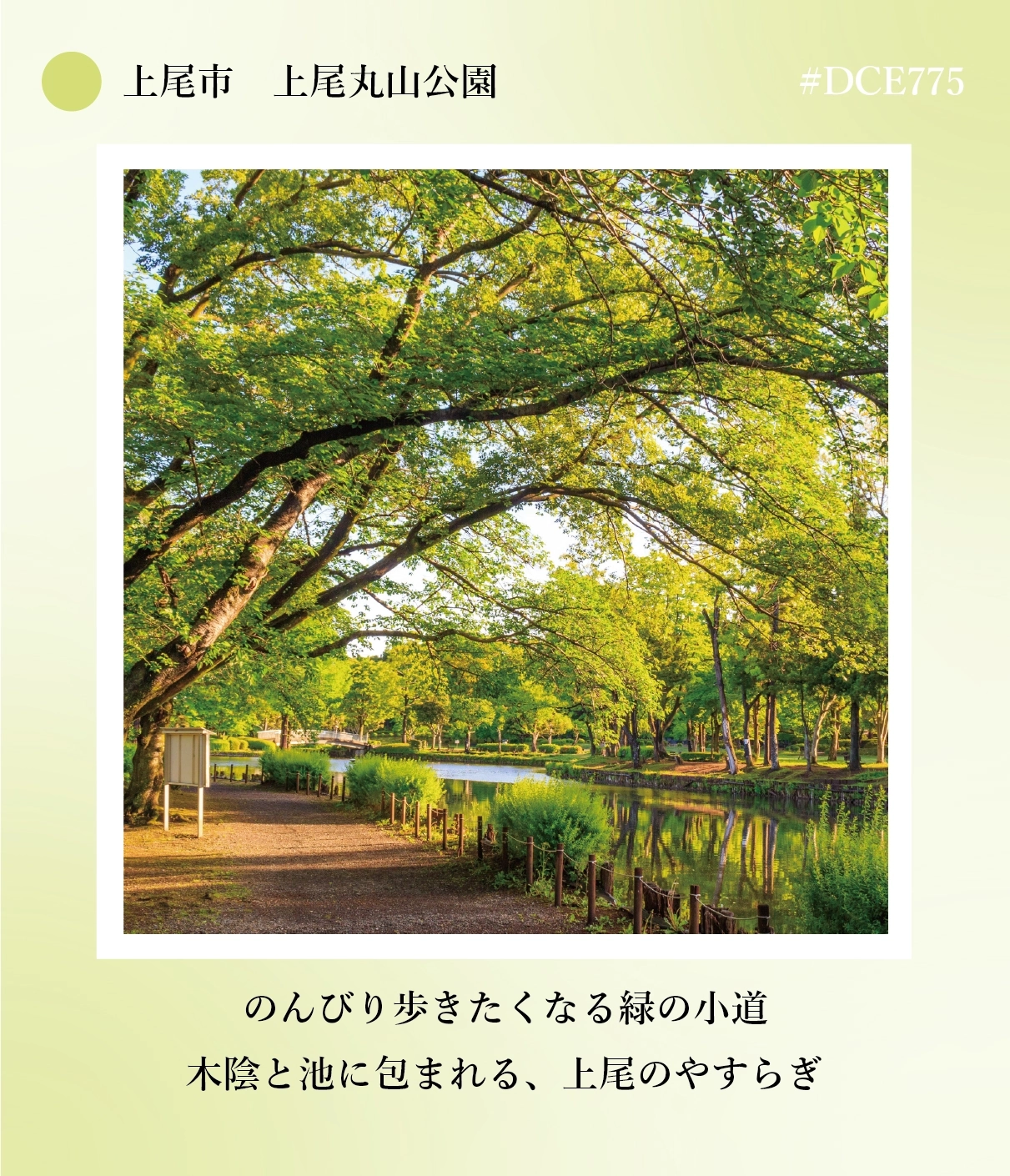 上尾の丸山公園